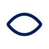 Notre vision